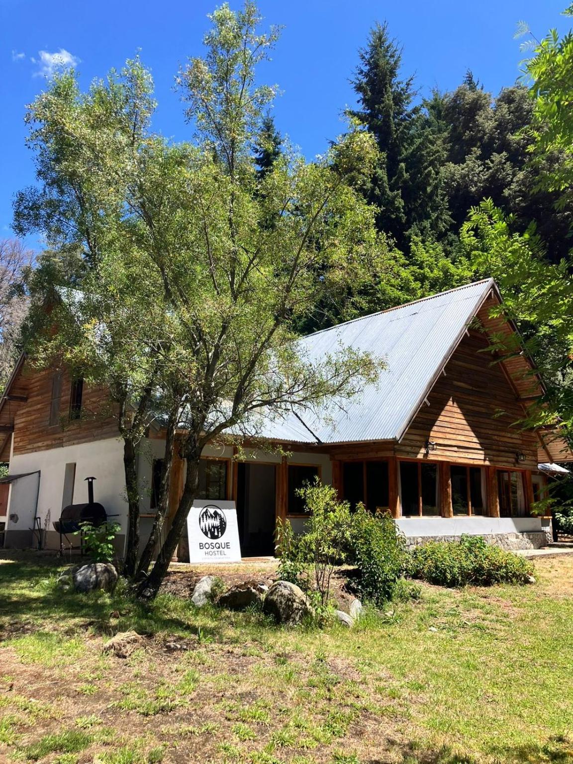 La casa de Bosque Hostel entre los árboles, en verano