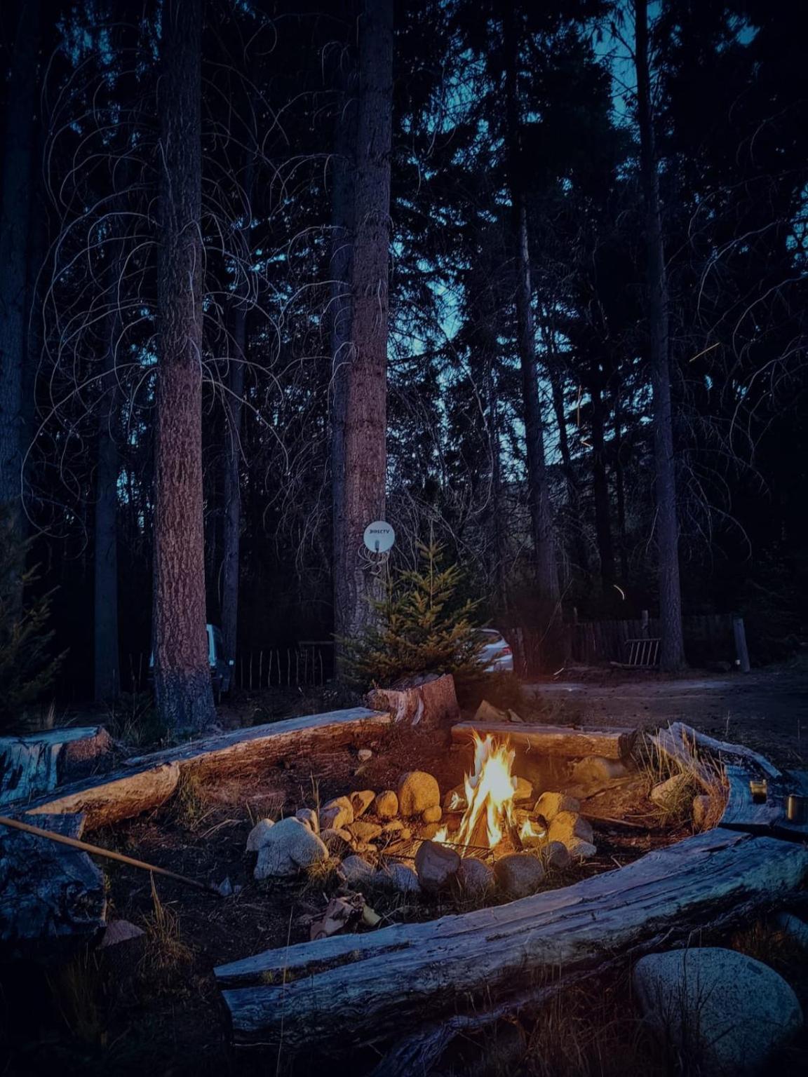 Fogón encendido entre troncos, de noche en el bosque