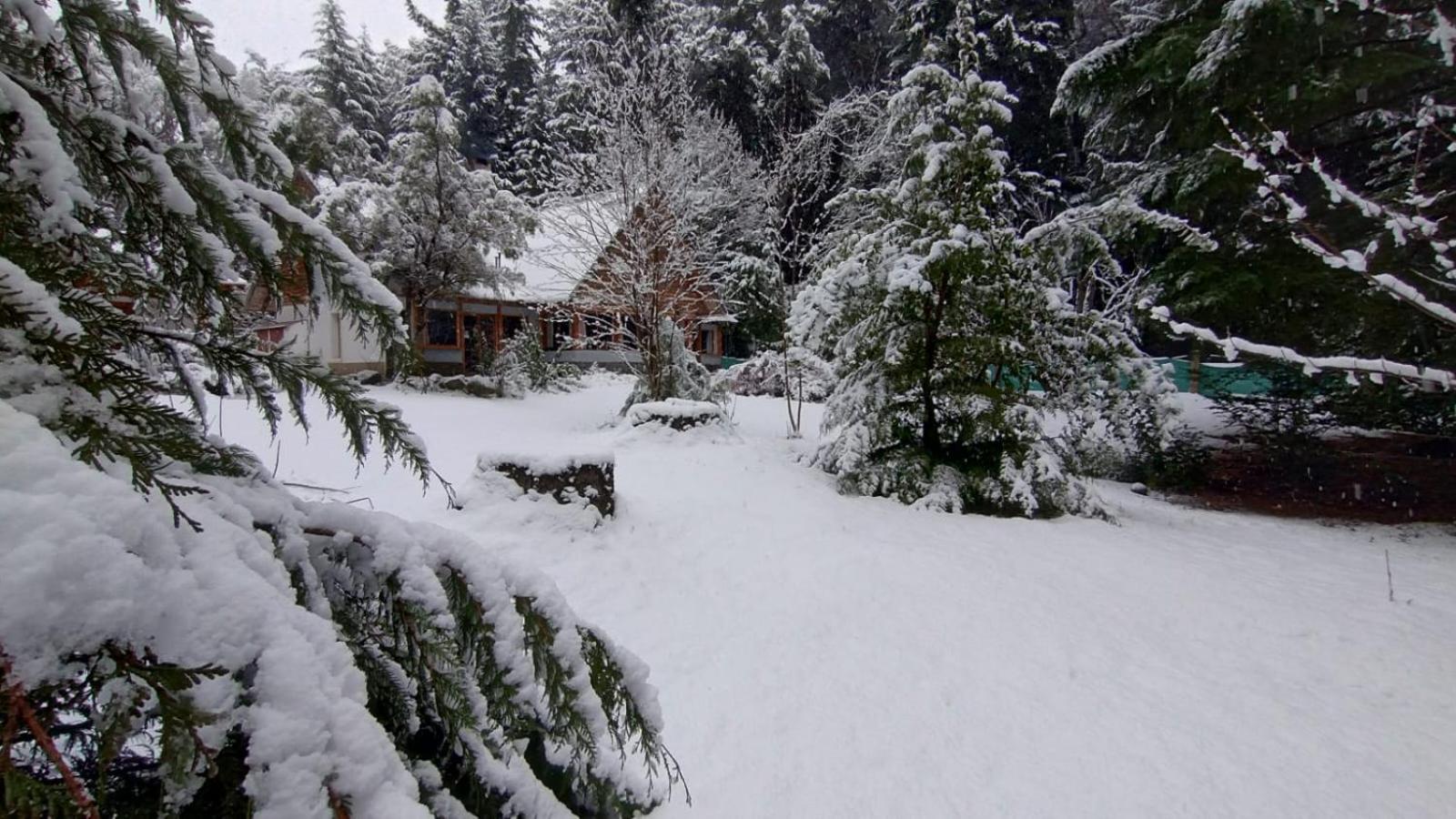 El jardín nevado