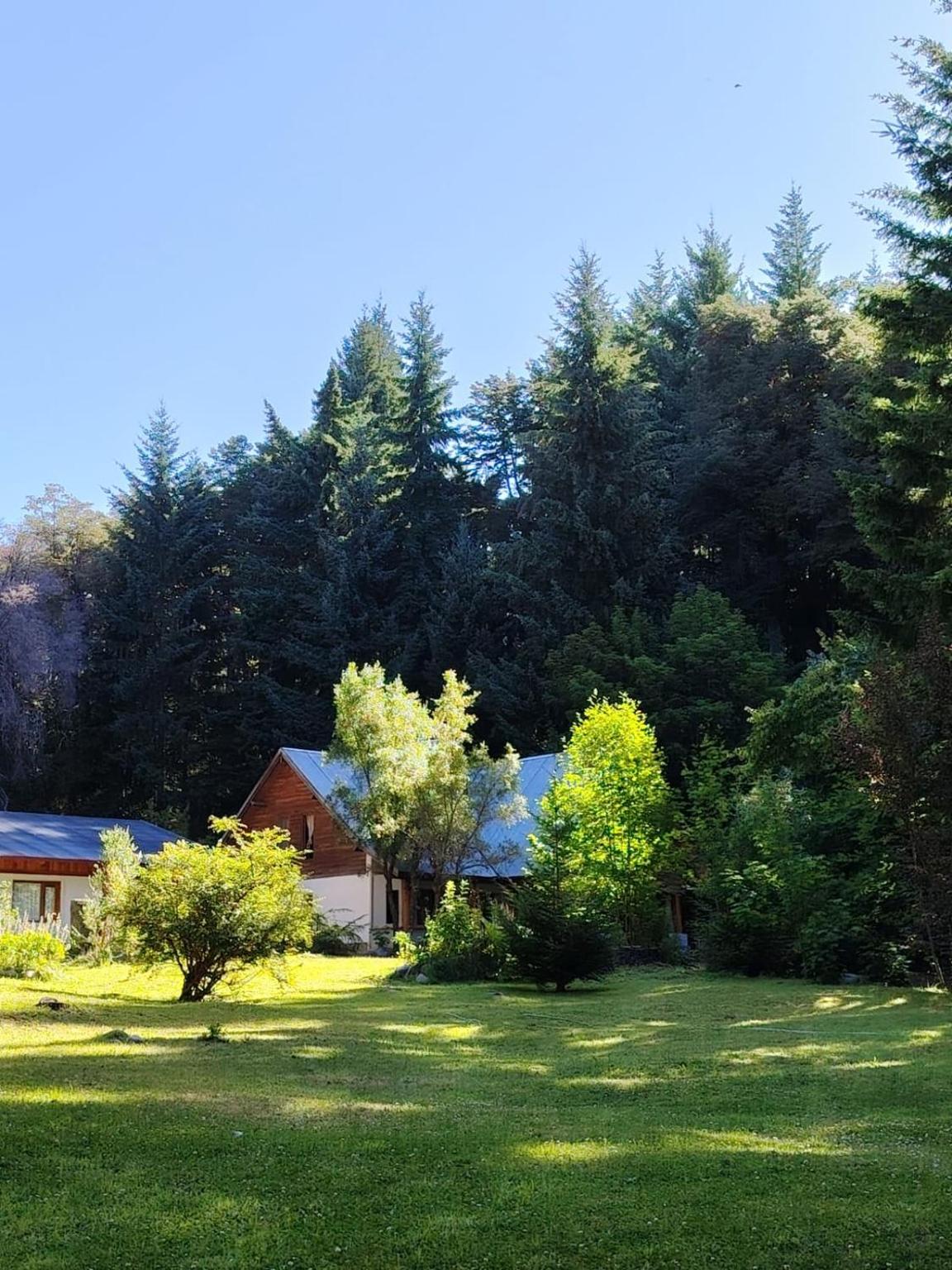 Jardín verde con la casa entre los árboles